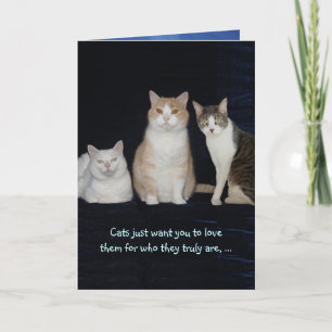Funny Customisable Cats Card