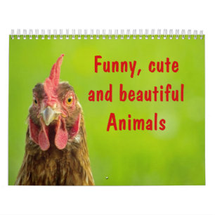 Funny, Cute and Beautiful Animals Calendar