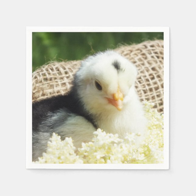  funny cute animals chicken farm  iPad Pro Cover Napkin (Front)