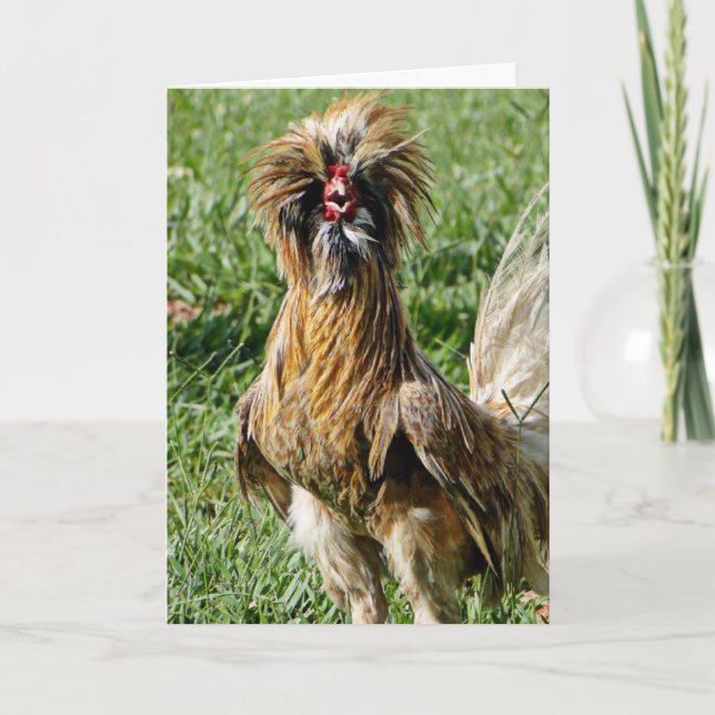Funny Cute Bad Hair Day Rooster Card (Front)