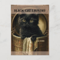 Funny cute Black cat laundry
