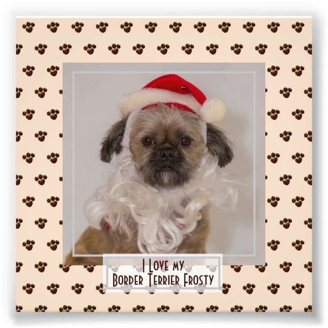 Funny Cute Border Terrier PHOTO Named Keepsake (Front)