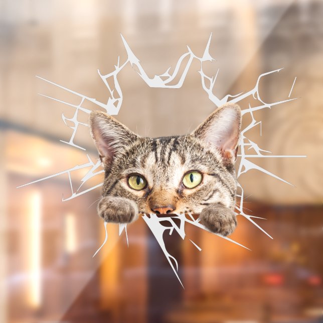 Funny Cute Car Sticker Cat from Broken Glass  (Sheet 2)