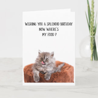 Funny Cute Cat Birthday Greeting Card