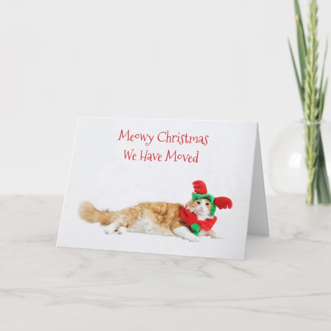 Funny Cute Cat Christmas Moving New Address Announcement (Front)