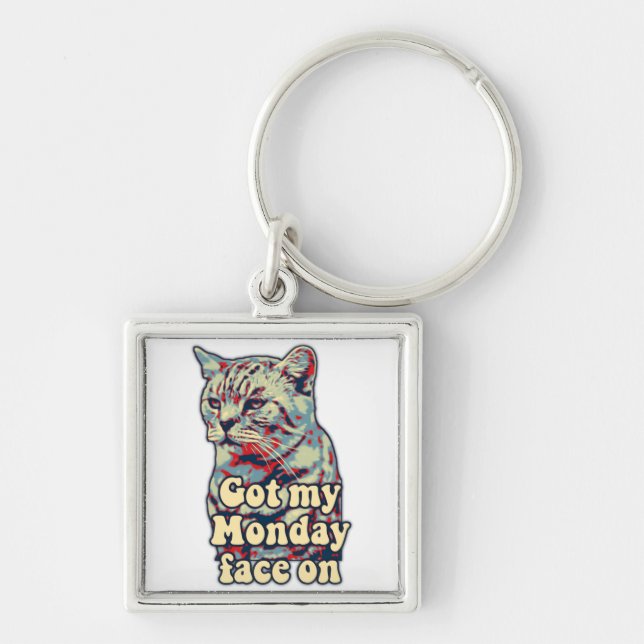 Funny cute cat meme for cat lovers & kitty owners key ring (Front)