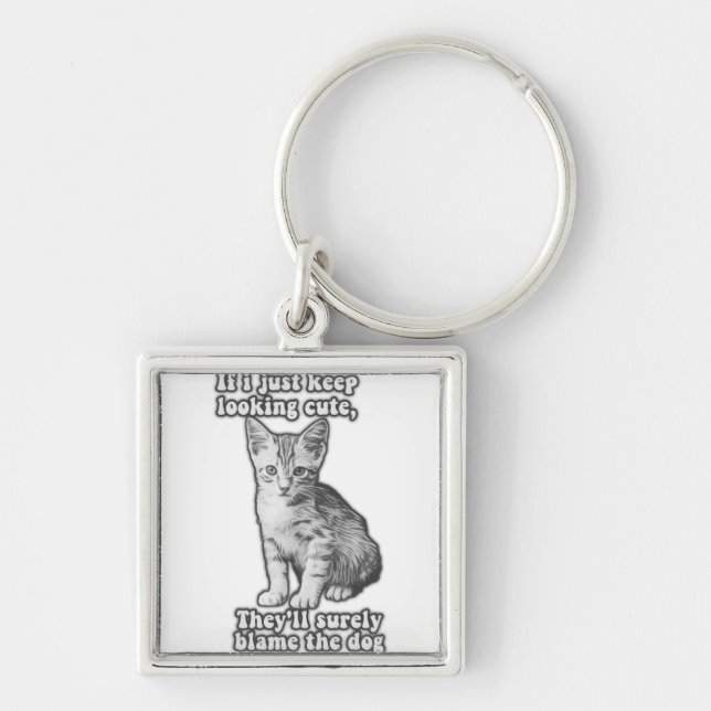 Funny cute cat meme for cat owners & kitty lovers key ring (Front)
