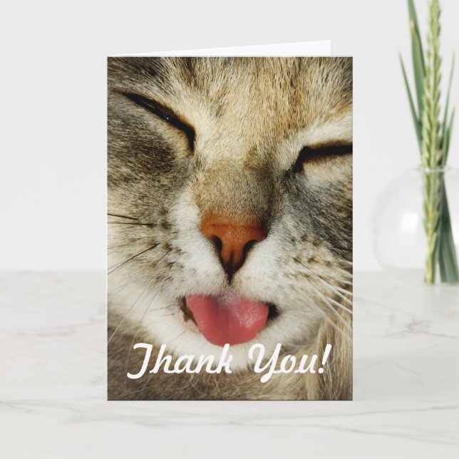 Funny Cute Cat Photo Thank You Card (Front)