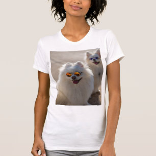 Funny Cute Cats Photo T-Shirt, Adorable Cat Lover T-Shirt