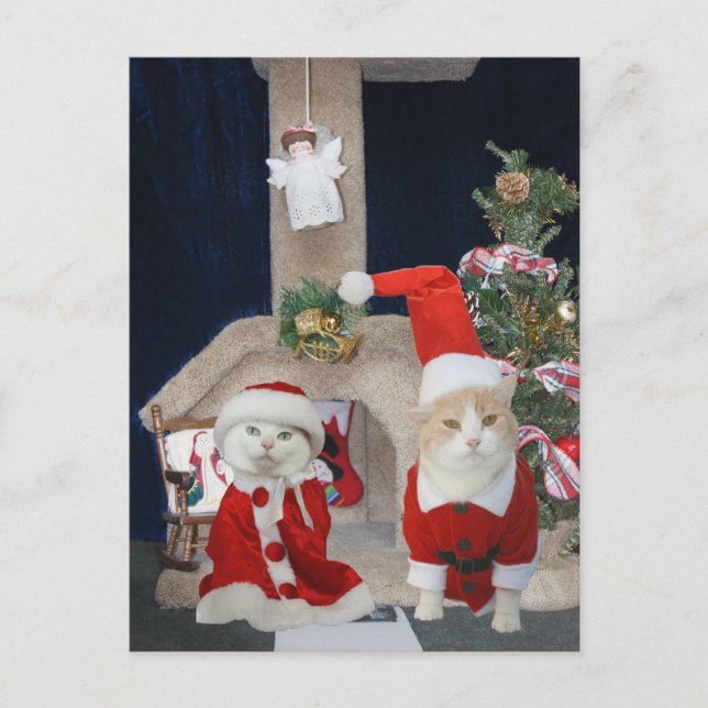 Funny/Cute Christmas Kitty Condo Holiday Postcard (Front)