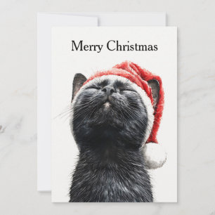 Funny Cute Comic Whimsical Cat Merry Christmas Holiday Card
