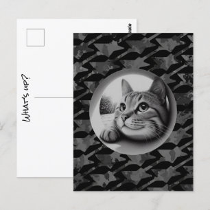 Funny Cute Cool Cat What's Up Animals Hello Meow Postcard