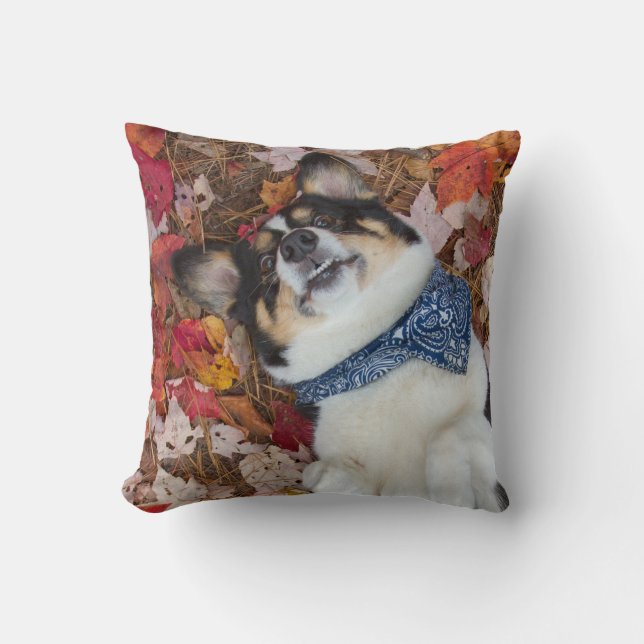 Funny, Cute, Corgi Look Cushion (Front)