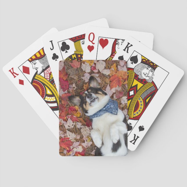 Funny, Cute, Corgi Look Playing Cards (Back)