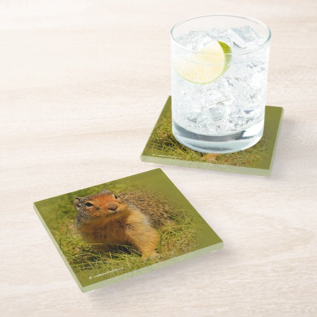 Funny Cute Curious Columbian Ground Squirrel Glass Coaster (Angled)