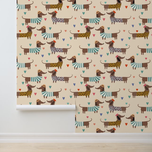 Funny Cute Dachshund Dogs Wallpaper (Application)