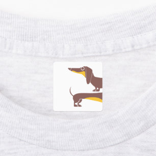 Funny cute dachshund for long dog parent