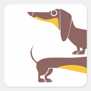 Funny cute dachshund for long dog parent square sticker