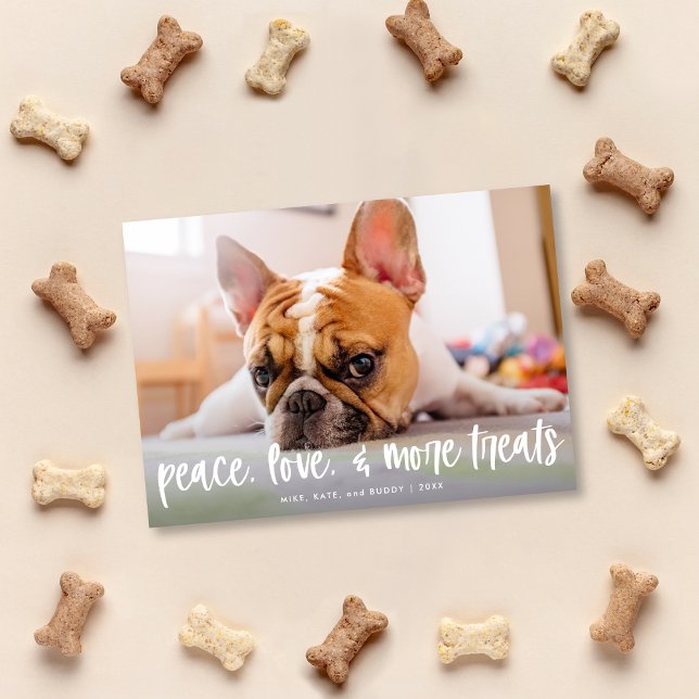 Funny Cute Dog Cat Treats Holiday Photo Card (Creator Uploaded)