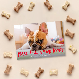 Funny Cute Dog Cat Treats Holiday Photo Card