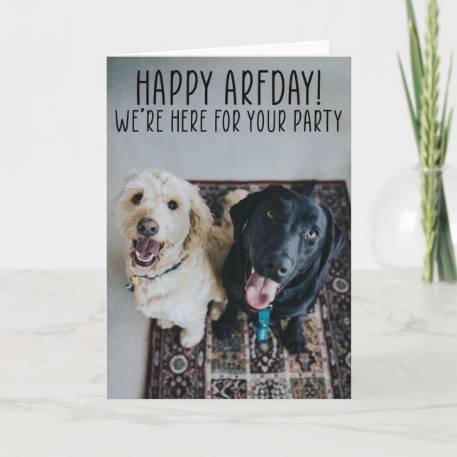 Funny Cute Dogs Birthday Greeting Card  (Front)