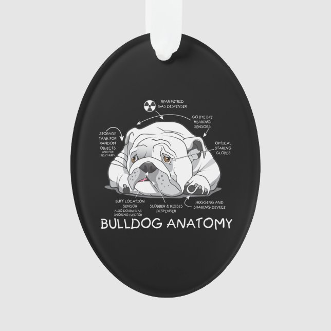 Funny Cute English Bulldog Anatomy Dog Biology Ornament (Front)