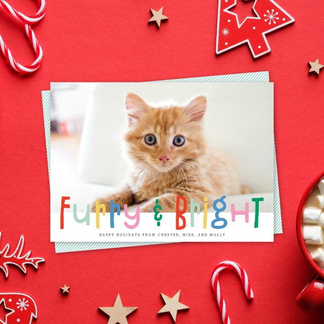 Funny Cute Furry & Bright Dog Cat Pet Photo Holiday Card (Creator Uploaded)