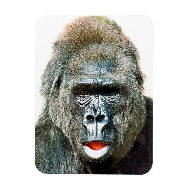 FUNNY CUTE GORILLA MAGNET (Vertical)