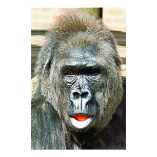 FUNNY CUTE GORILLA PHOTO PRINT