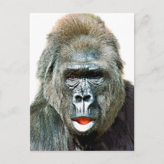 FUNNY CUTE GORILLA POSTCARD