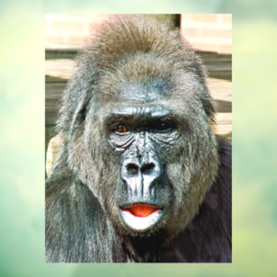 FUNNY CUTE GORILLA WINDOW CLING