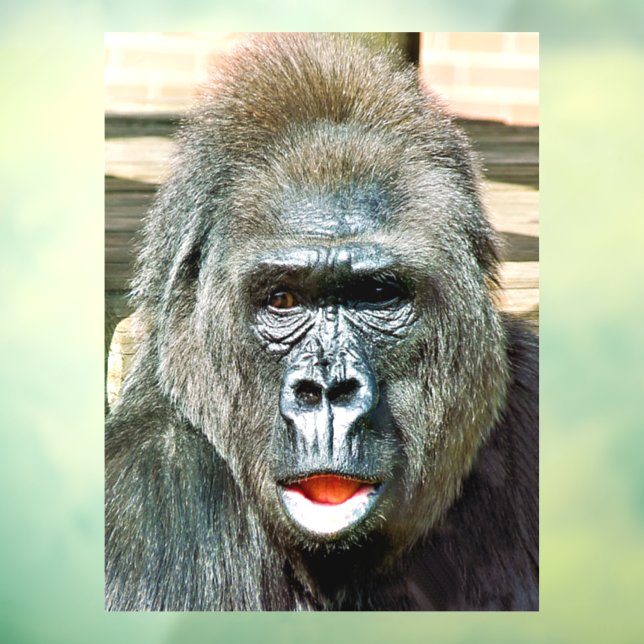 FUNNY CUTE GORILLA WINDOW CLING (Sheet 3)