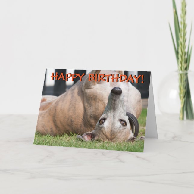 Funny cute greyhound greetings card (Front)