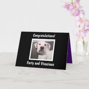 Funny Cute Grumpy White Dog 40th Birthday Black Card