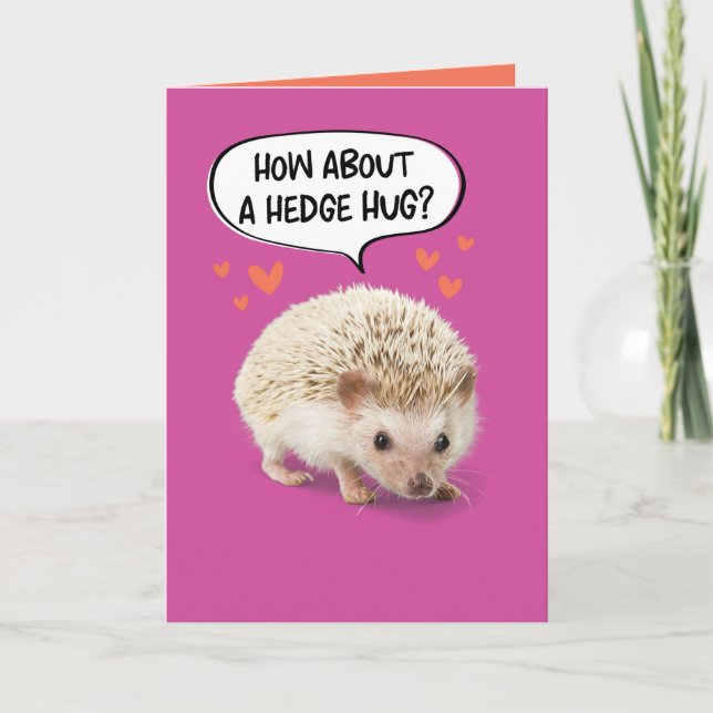 Funny Cute Hedgehog Taking Prick Out of Birthday Card (Front)