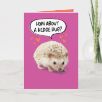 Funny Cute Hedgehog Taking Prick Out of Birthday
