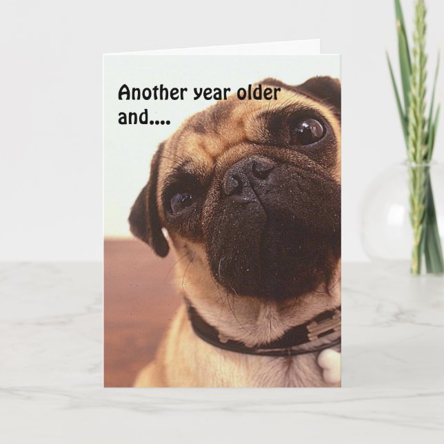 Funny Cute Humourous Pug Dog Birthday Card (Front)