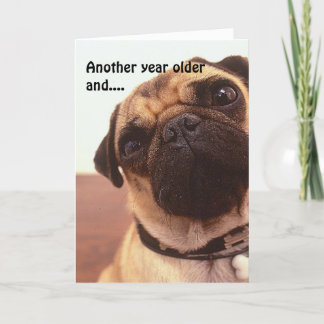 Funny Cute Humourous Pug Dog Birthday Card