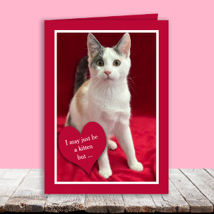 Funny Cute Kitten Cat Valentines Puns Card