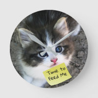 FUNNY! Cute Kitten with Customisable Text