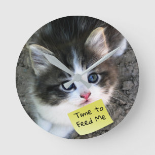 FUNNY! Cute Kitten with Customisable Text Round Clock