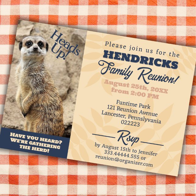 Funny, Cute  Meerkat Family Reunion Save the Date Invitation (Funny Family Reunion Invitation with Meerkat)