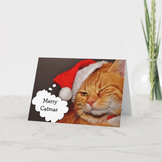 Funny Cute Merry Christmas Holiday Cat Card (Front)