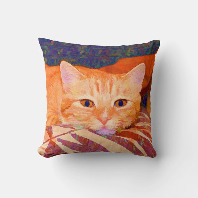 Funny Cute Orange Tabby Cat Cushion (Front)