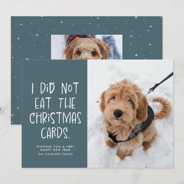 Funny cute pet light blue photo New Year Holiday Card (Front/Back)