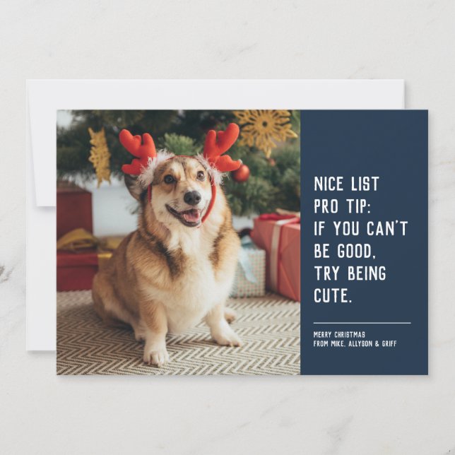 Funny cute pet photo navy blue Christmas Holiday Card (Front)