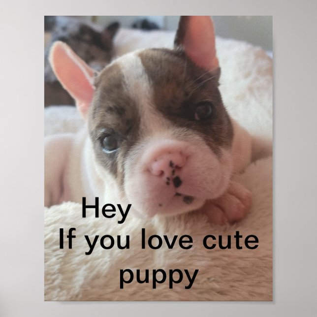 Funny cute pitbull puppy quote poster (Front)