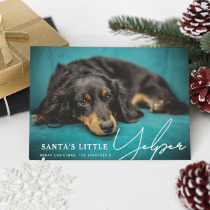 Funny Cute Santa's Little Yelper' Dog Photo Holiday Card