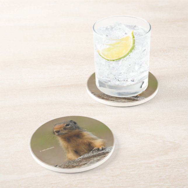 Funny Cute Saucy Columbian Ground Squirrel Coaster (Side)