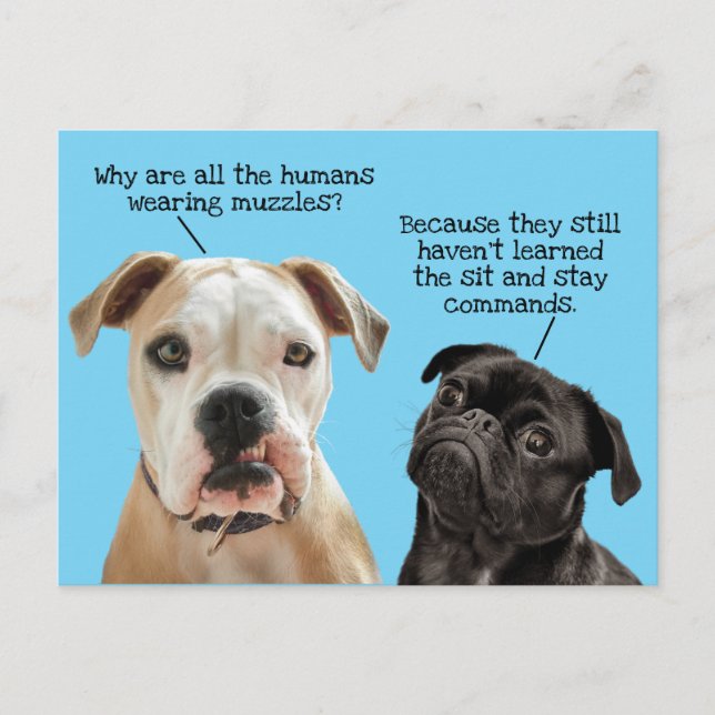 Funny Cute Sit/Stay Dogs During Pandemic No Muzzle Postcard (Front)